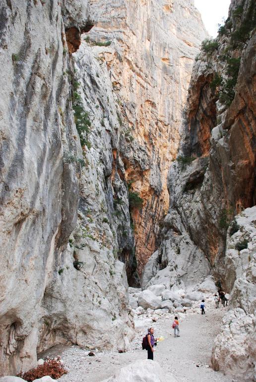 Casa Rustica Apartman Dorgali Szoba fotó